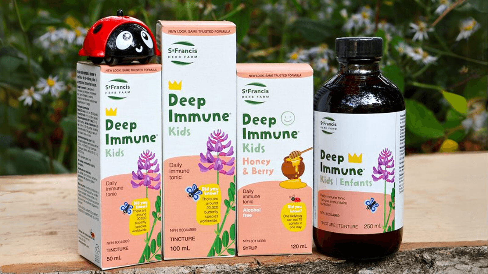 6 Ways to Support Your Family's Immune Systems - Today's Parent