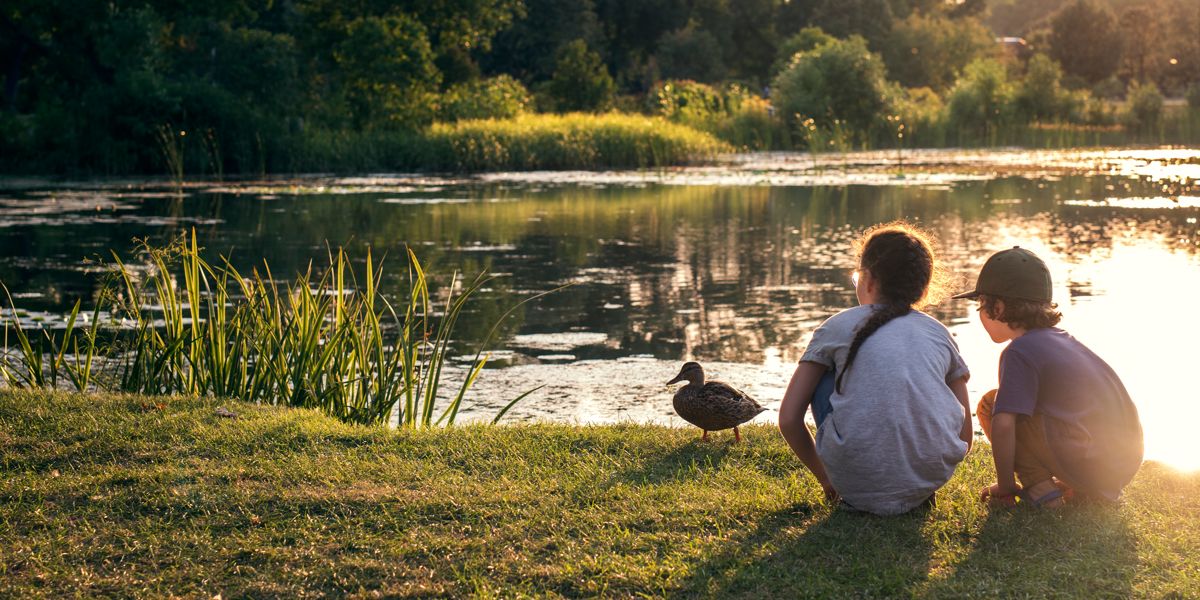 Your Family-Friendly Guide to the Montréal Area - Vimarsana News
