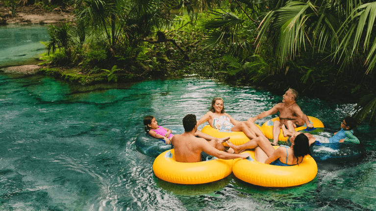 A group of kids and adults float in the water with inflatable yellow and transparent tubes. They are surrounded by palm trees and greenery.