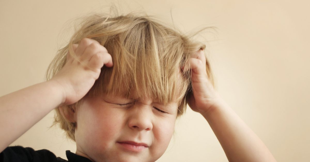 Safe lice treatments Today's Parent