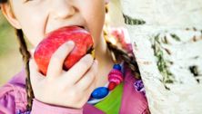 Preschooler snacks