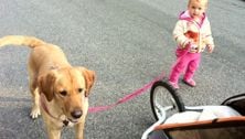 Stroller running strategies