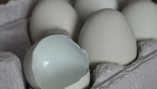 In praise of local food
