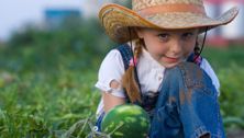 Organic farms