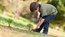 Green thumb in training