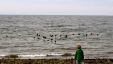 Seizing the moment in 2012