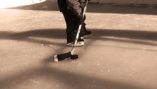 The hockey-free household