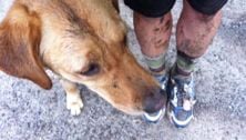 What I learned when I stopped running