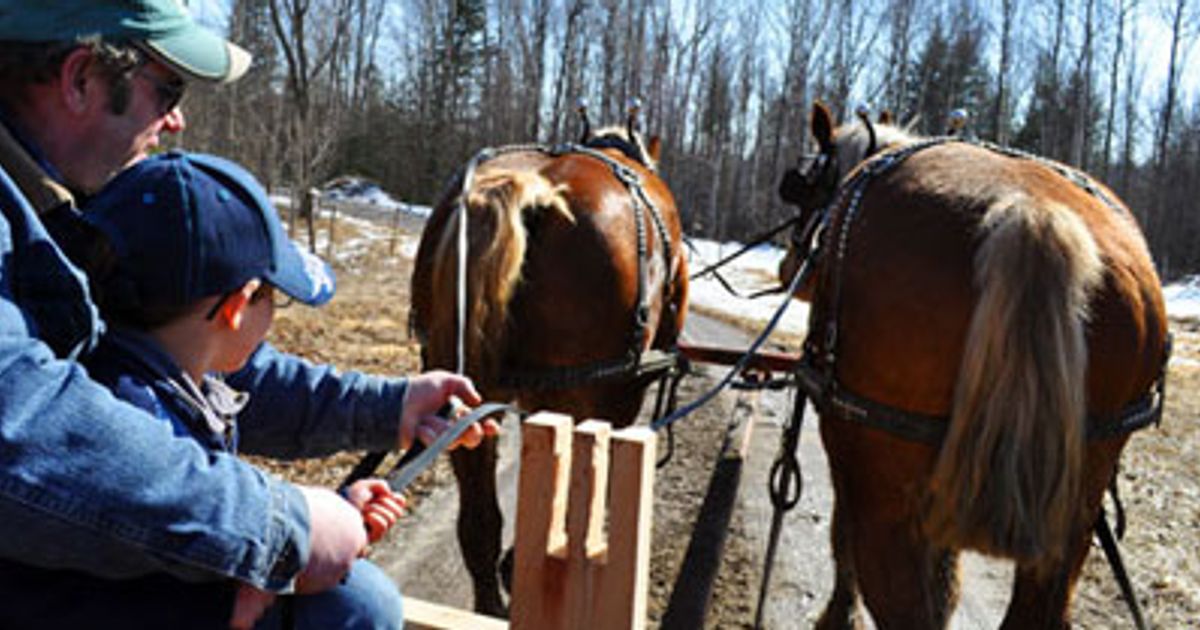 It’s spring in cottage country - Today's Parent