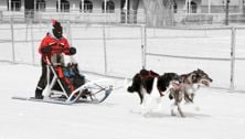 Dogsledding with kids