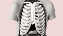 What you need to know about your thyroid gland