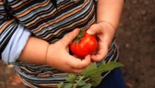 Organic food: Reading between the labels