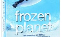 Frozen Planet on DVD (+ giveaway!)
