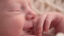 Everyday Baby - May 17, 2012