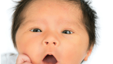 Canada is having a mini baby boom