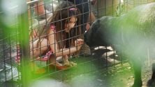 Katie Holmes and her mom take Suri to the Zoo