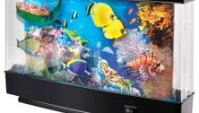 RECALL: Discovery Kids Animated Marine and Safari Lamps