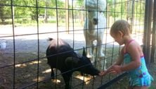 Summer sanity saver: Trip to the zoo