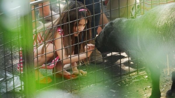 Katie Holmes and her mom take Suri to the Zoo
