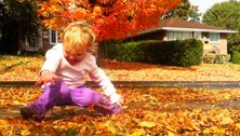 Slowing down for the autumn season