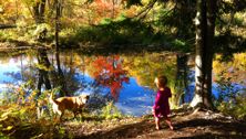 4 things to be grateful for this Thanksgiving