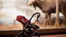 Everyday Baby - September 29, 2012