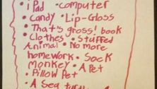 My kids want a cat for Christmas
