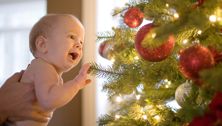 Everyday Baby - November 18, 2012