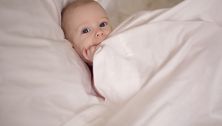 Everyday Baby - November 8, 2012