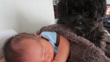 Lisa asks: How do you get your kids comfortable around dogs?