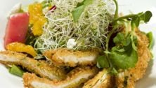 Sponsored: Zesty Crunchy Chicken Salad