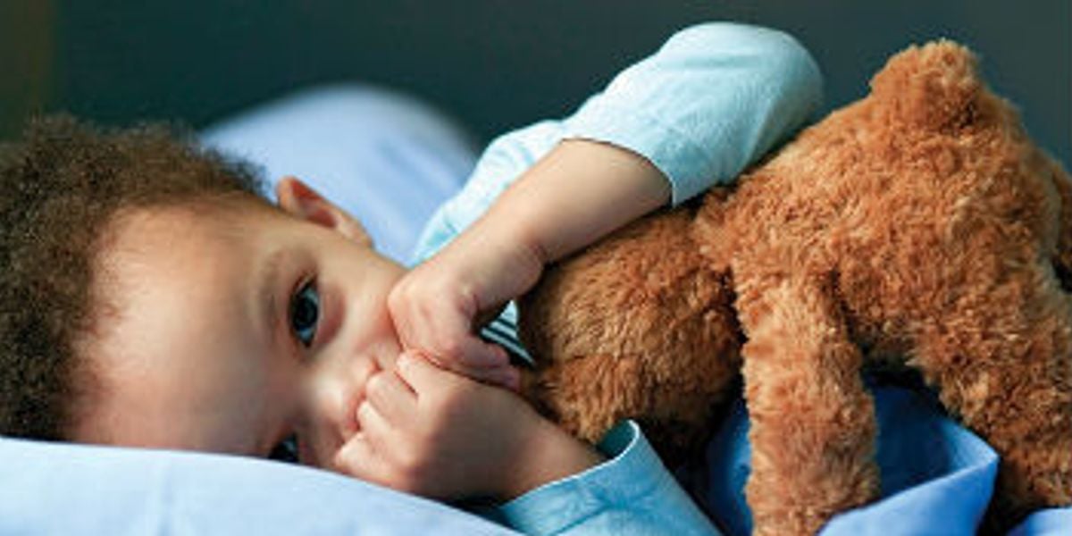 Comfort Items That Make You Feel Like a Cozy Cloud