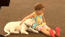 Little girl without feet gets a puppy without a paw