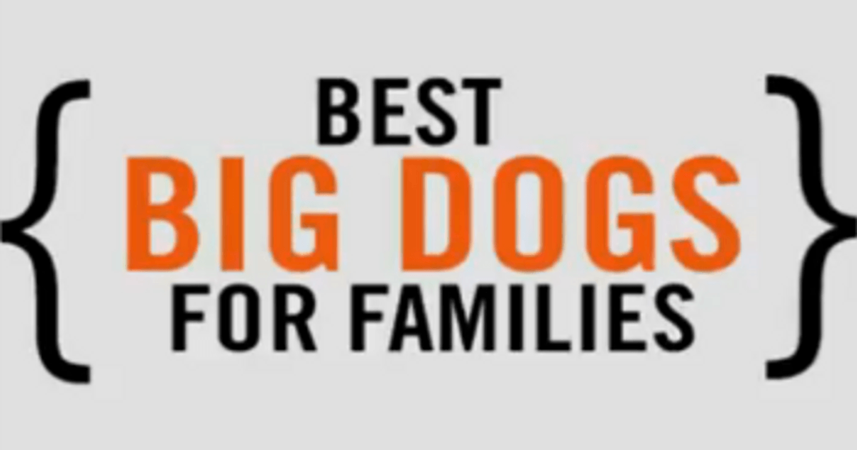 5 best big dogs for kids Today's Parent