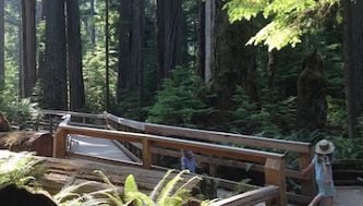 10 family-friendly hiking trails in British Columbia