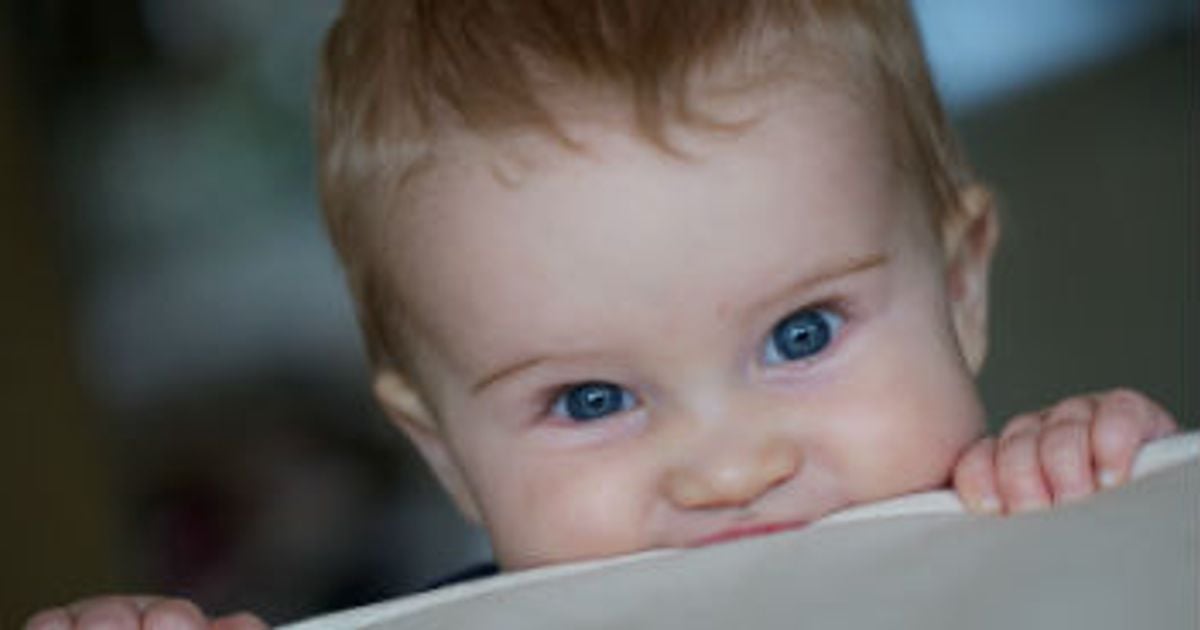 Ask Dr. Dina How can I stop my toddler from biting everything? Today