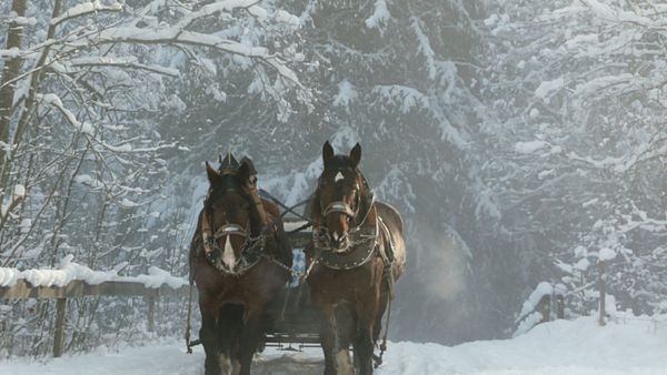 50 essential winter activities for families