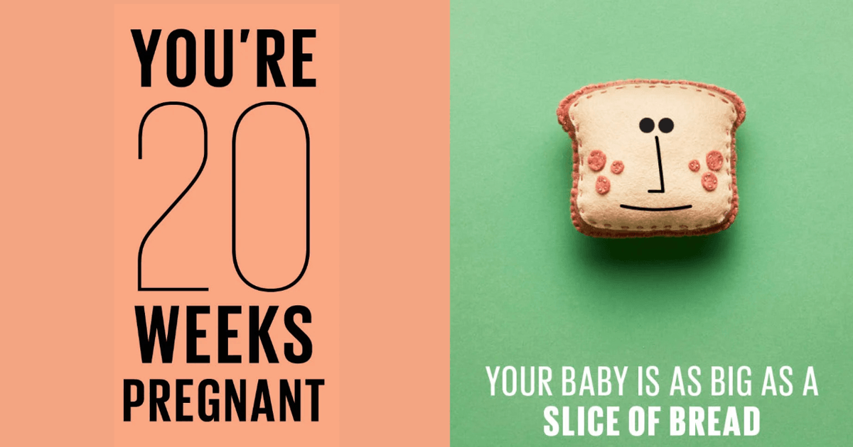 20 weeks pregnant Symptoms, tips and more Today's Parent