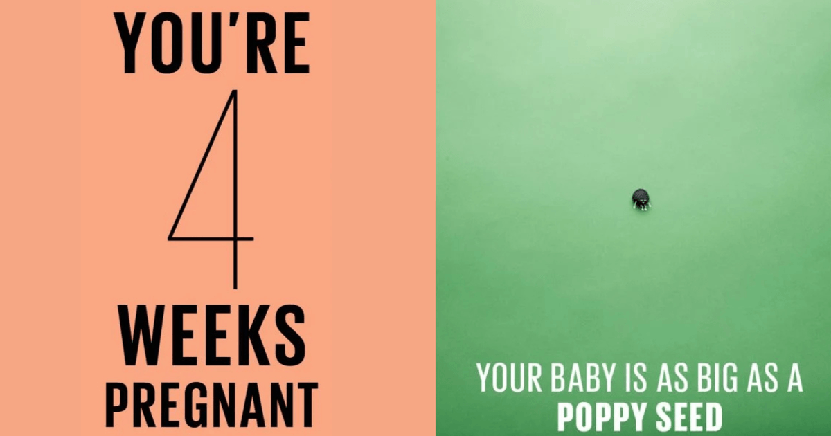 4 weeks pregnant | Symptoms, tips and more - Today's Parent