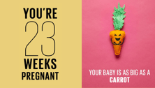 Your Pregnancy: 23 Weeks