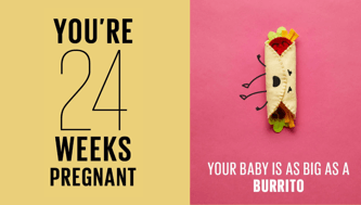 Your Pregnancy: 24 Weeks