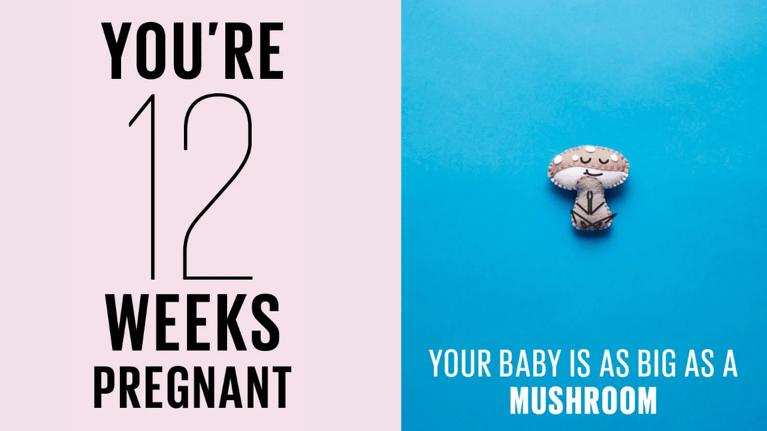 12 weeks pregnant