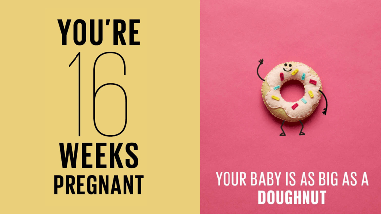 16 weeks pregnant