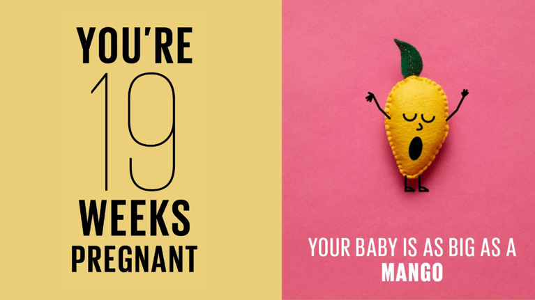 19 weeks pregnant