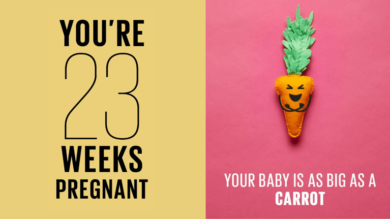 23 weeks pregnant