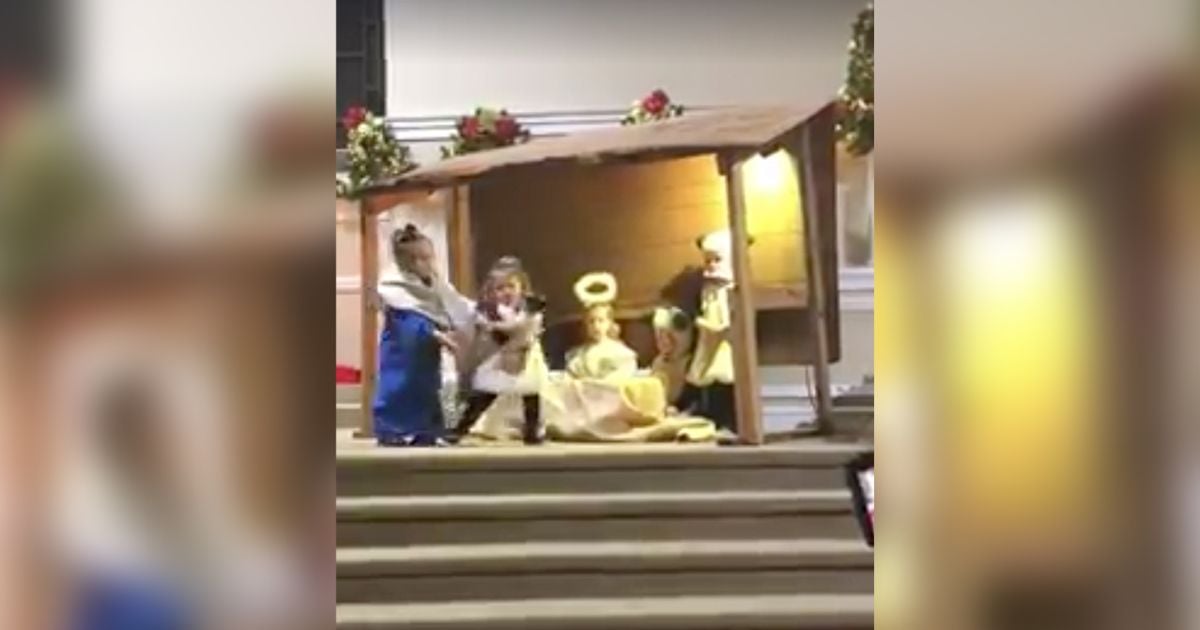 Watch this nativity play go so wrong when the sheep goes rogue Today
