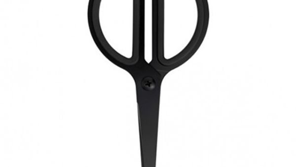 Black scissors