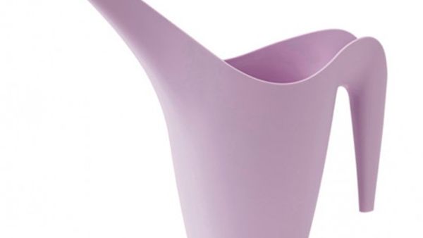 Purple watering can