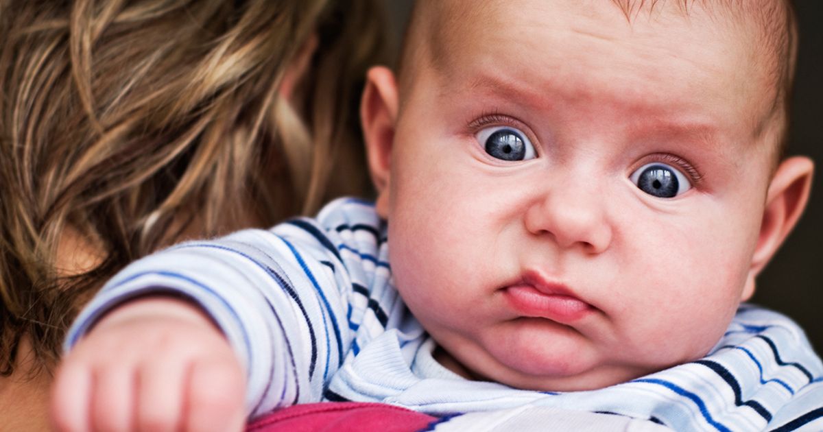Shittens are a real thing—have we reached a new low in parenting ...