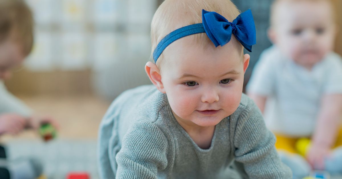 Why do dog walkers need more permits than childcare providers? Today